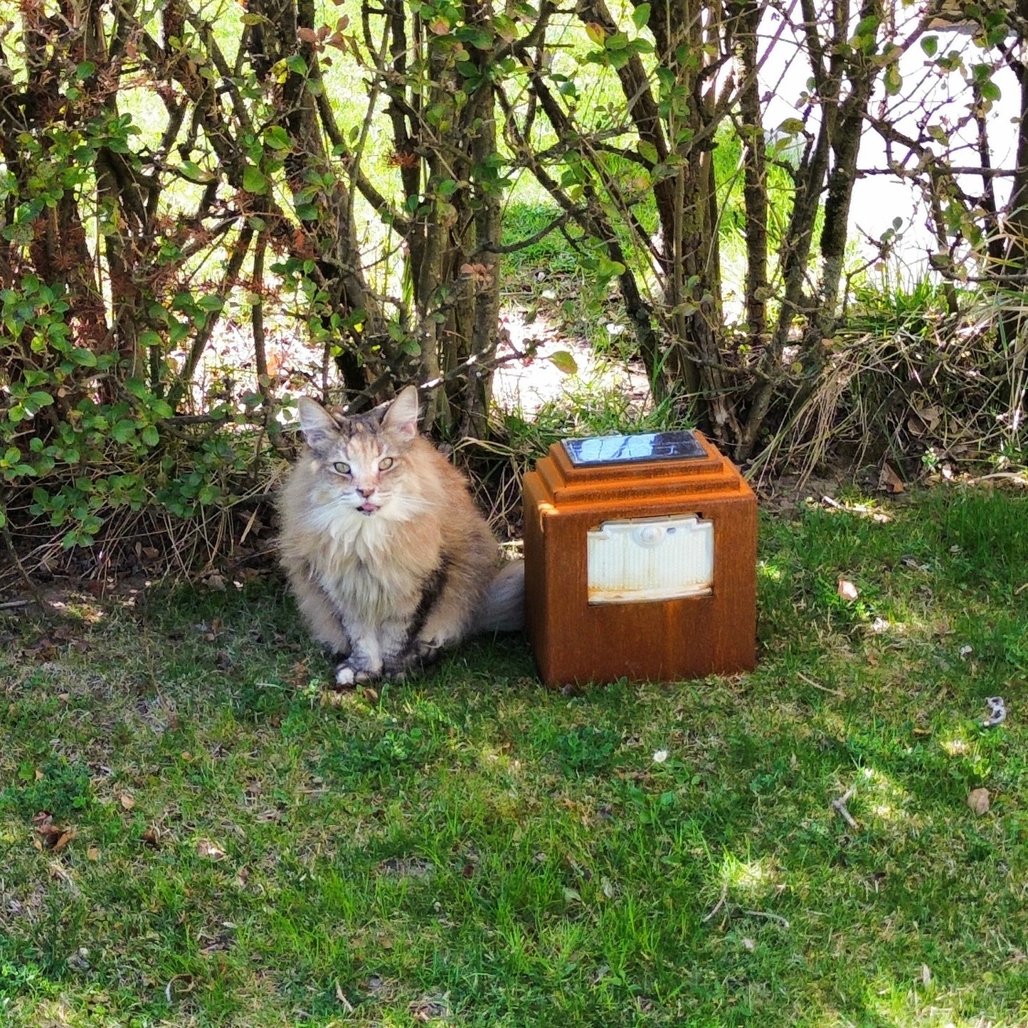 Natural rust Corten solar garden light. Powerful outdoor bollard or beacon with motion sensor. Wireless. Warm white light.