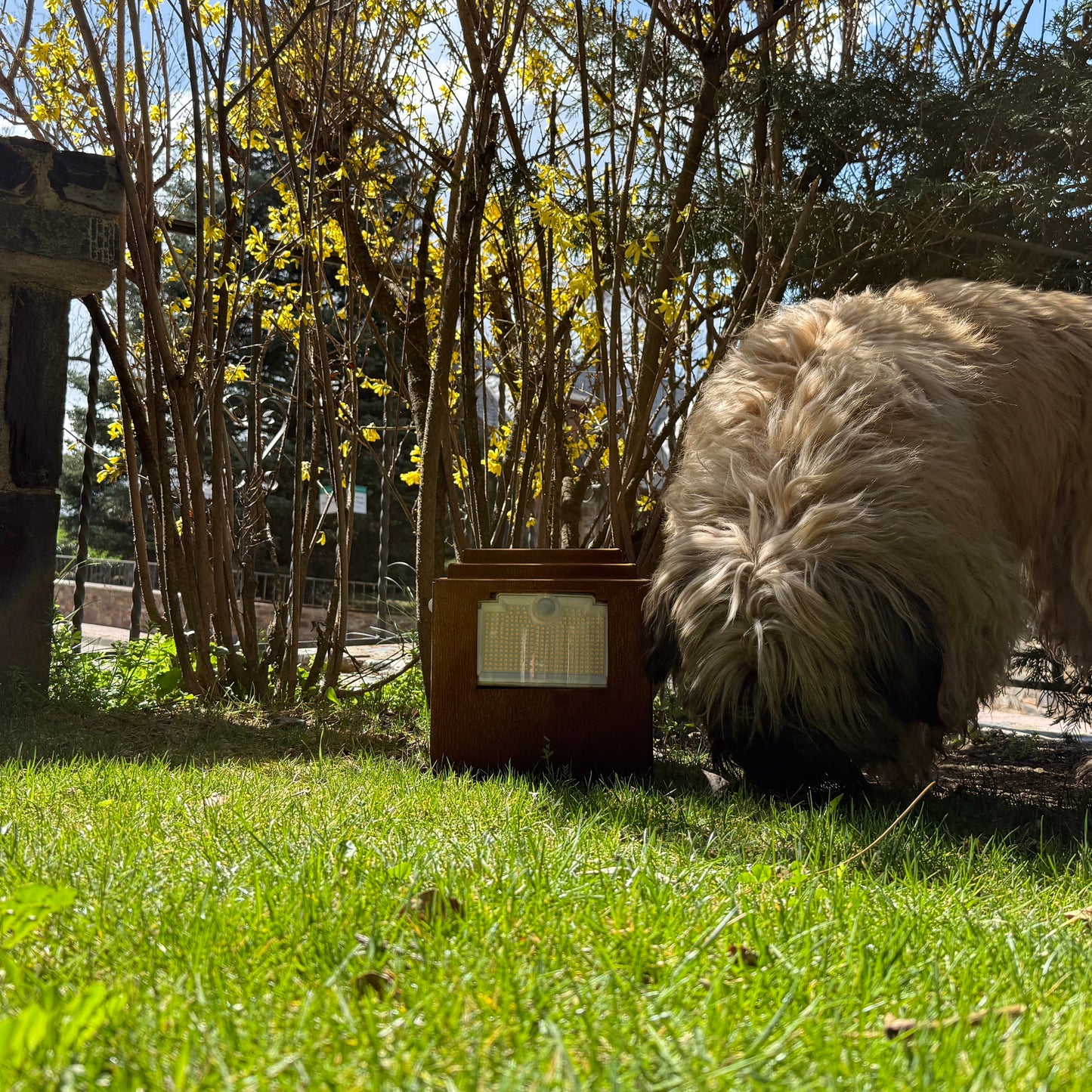 Natural rust Corten solar garden light. Powerful outdoor bollard or beacon with motion sensor. Wireless. Warm white light.