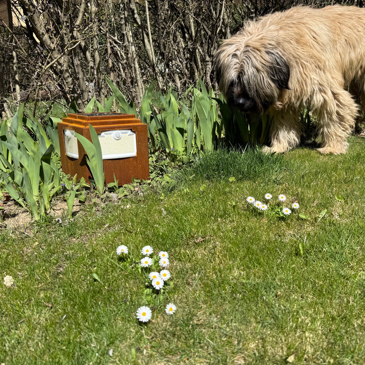 Natural rust Corten solar garden light. Powerful outdoor bollard or beacon with motion sensor. Wireless. Warm white light.